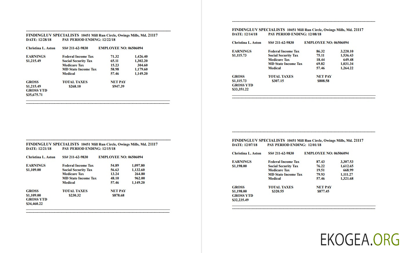 Bulletin de paie de l'entreprise spécialisée Findingluv au format PDF et Word